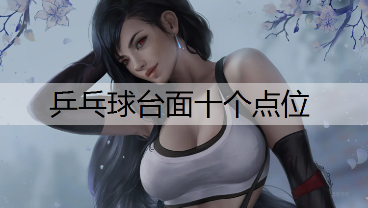 乒乓球台面十个点位