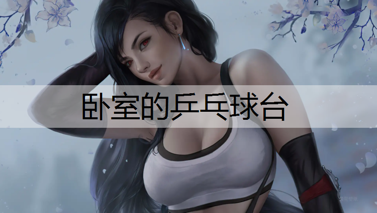 卧室的乒乓球台