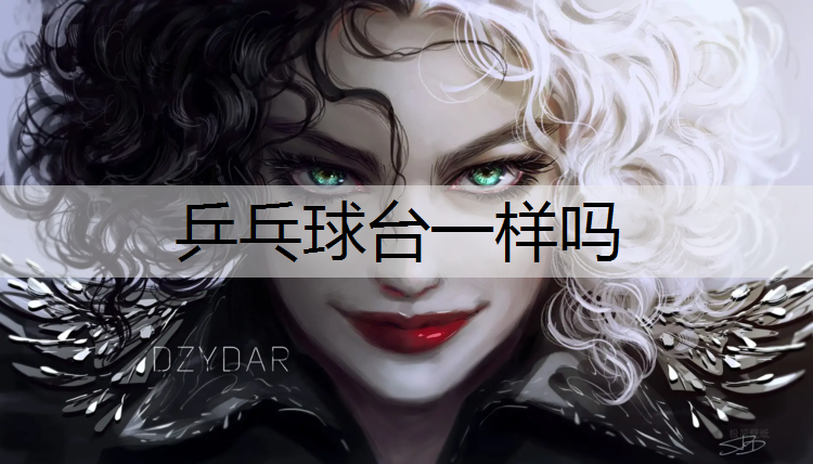 乒乓球台一样吗
