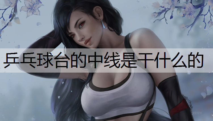 乒乓球台的中线是干什么的