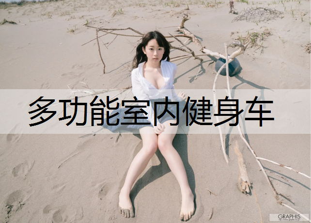 多功能室内健身车