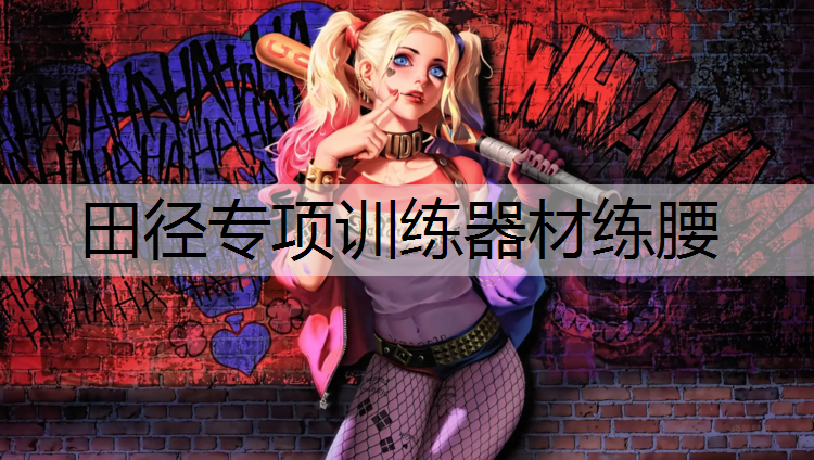 田径专项训练器材练腰