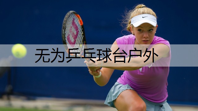 无为乒乓球台户外 无为乒乓球台户外