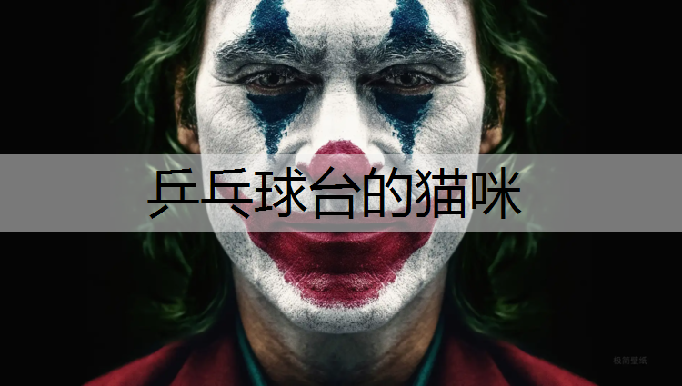 乒乓球台的猫咪