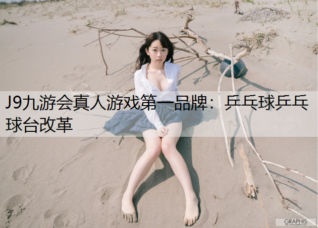 乒乓球乒乓球台改革