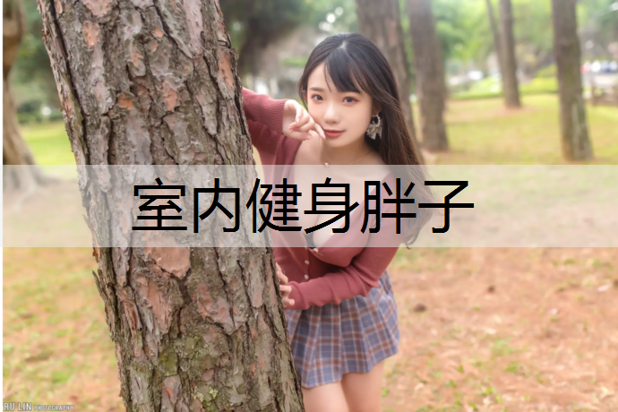 室内健身胖子