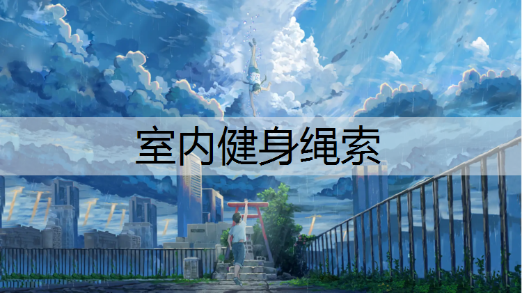 室内健身绳索