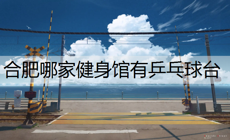 合肥哪家健身馆有乒乓球台