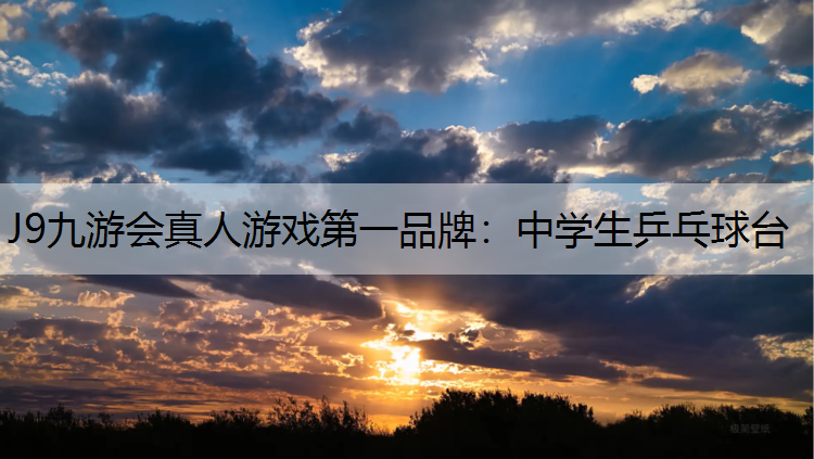 中学生乒乓球台