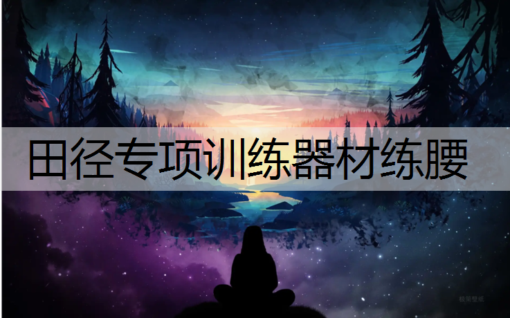 田径专项训练器材练腰