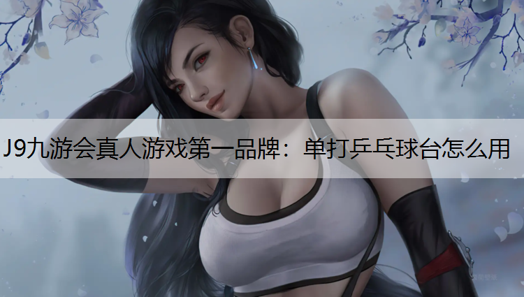 单打乒乓球台怎么用
